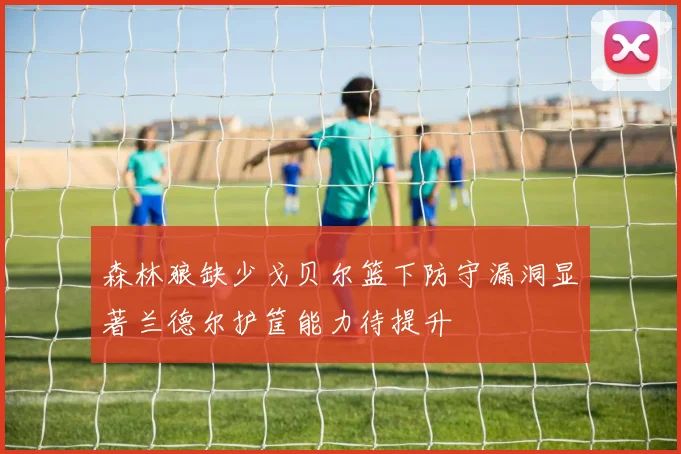 森林狼缺少戈贝尔篮下防守漏洞显著兰德尔护筐能力待提升