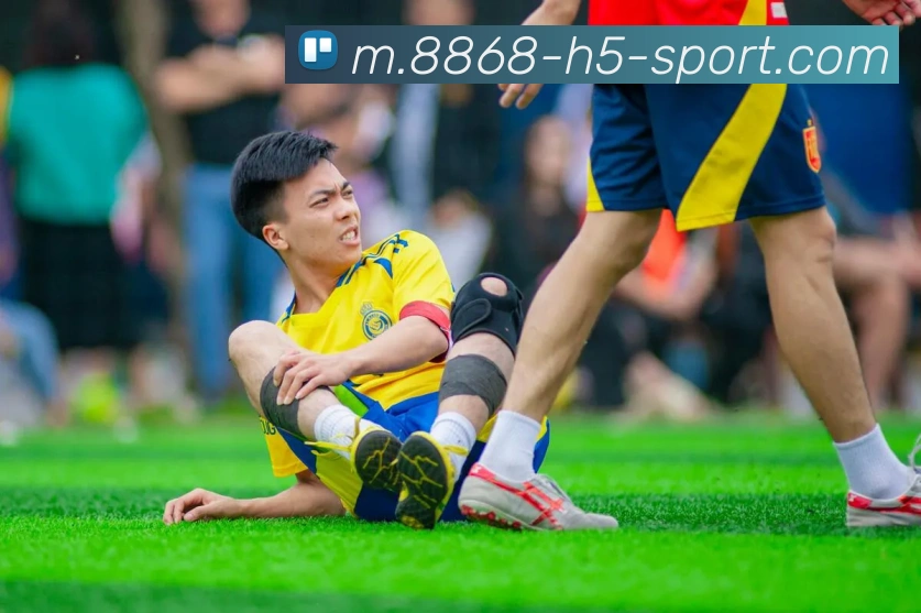 8868体育APP 封面图